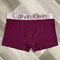 Трусы мужские боксеры хлопок Calvin Klein, размер M (46-48), фиолетовые, 03716