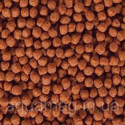Корм для коропів кой Hikari Wheat-Germ 20 kg (для низьких температур, корм для ставкових риб), фото 3
