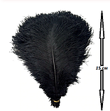 Перо страуса 13-15 см, чорне, фото 3