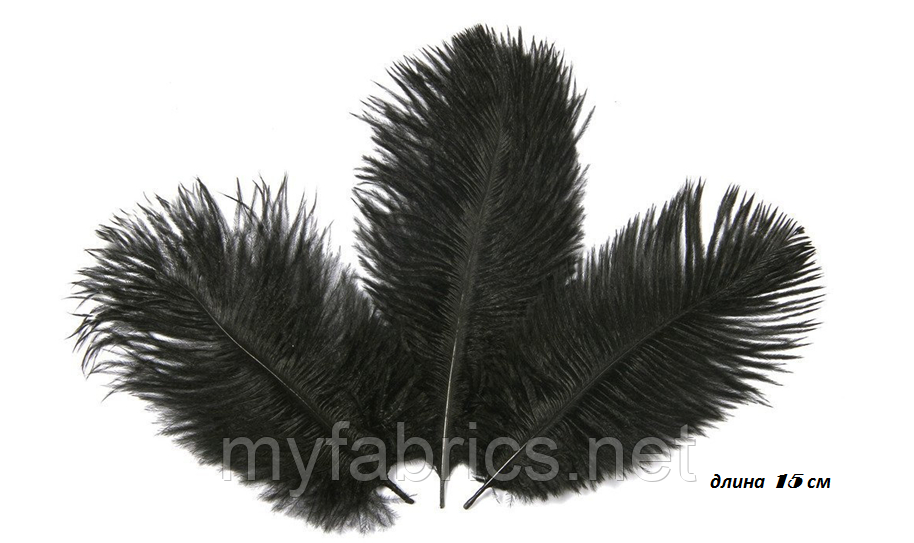 Перо страуса 13-15 см, чорне