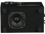 Колонки комп' ютерні SW FT-29 220V, чорні, фото 5