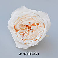 Стабілізовані троянди "Темрі", 8 бут., А:021