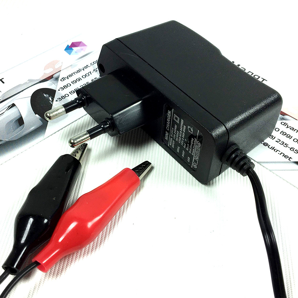 Зарядний пристрій 12 V 1000 mAh, для дитячого електромобіля, Крокодил, фото 1