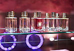 Ex Nihilo Bois d'hiver парфумована вода 100 ml. (Тестер Екс Нихило Бойс Д Хівер), фото 6