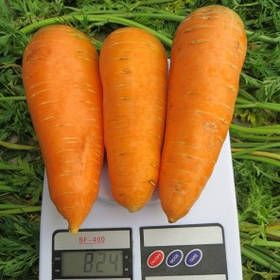 БОЛТЕКС (0,5кг) — морква, Clause