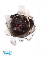 3-D інтер'єрна наліпка на машину мопс