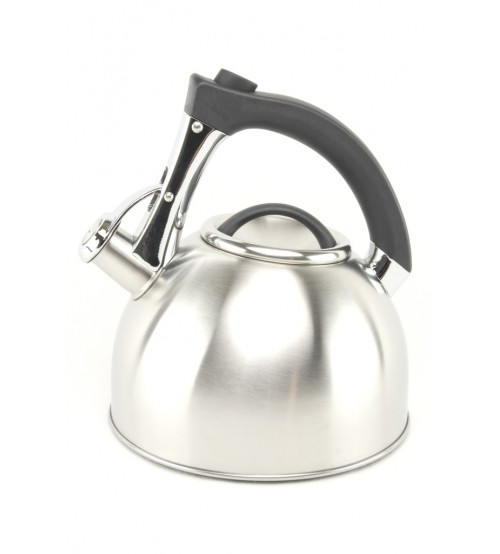 1381-WK Чайник 3,0 л оптом, фото 1