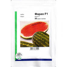 Насіння кавуна середньостиглого "Фарао" F1 (50 насінин) від Syngenta, Голандія