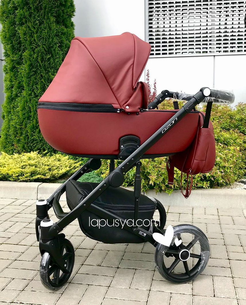 Дитяча коляска 2 в 1 Riko Ozon 04