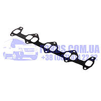 Прокладка колектора впускного FORD RANGER 1998-2012 (3600764/XM349461AA/ES3094) DP GROUP