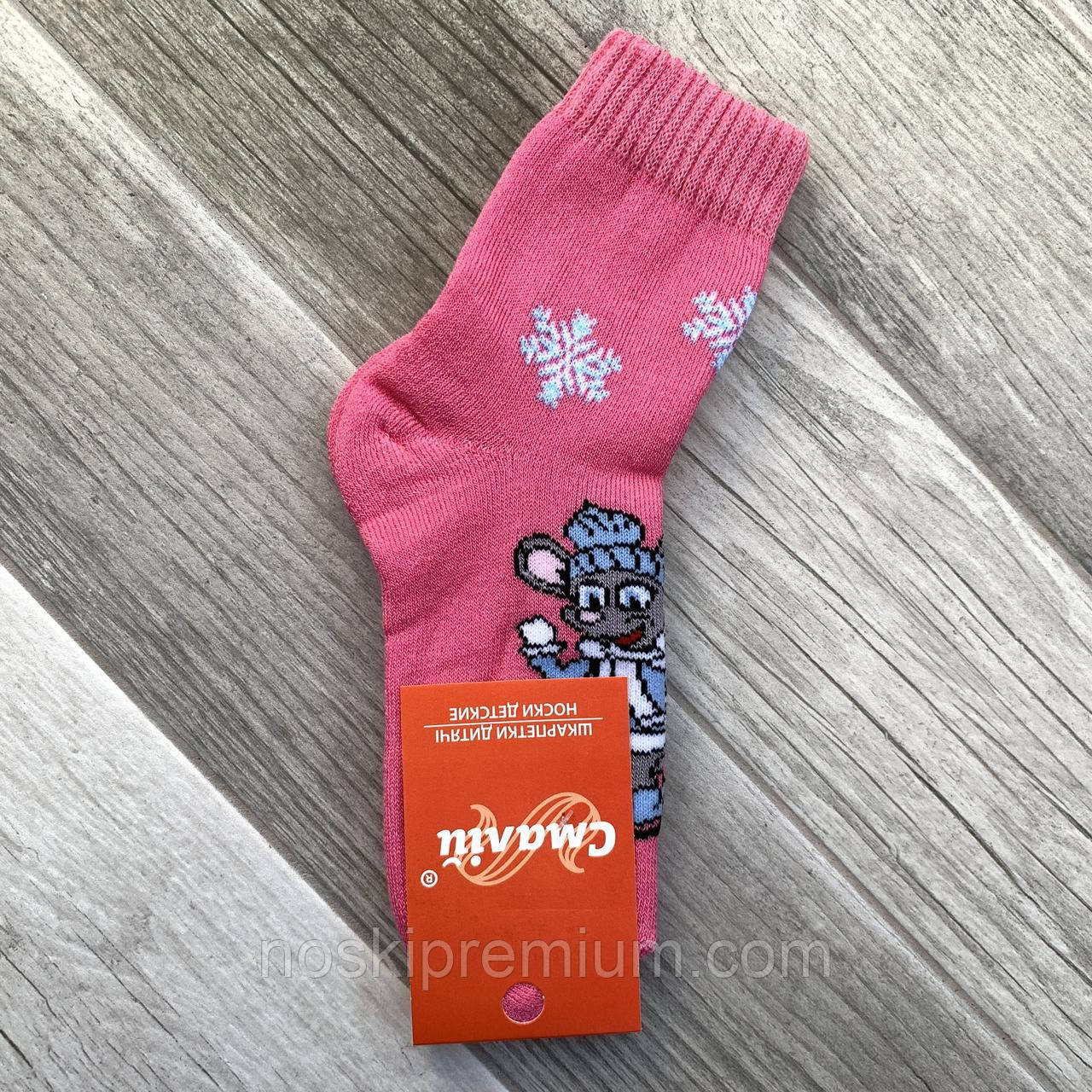 Шкарпетки дитячі бавовна махрові Смалій, 18 розмір, 10515, фото 1