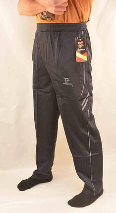 Штани спортивні чоловічі XL — 5XL Ao Longcom Штани спортивні — еластик (Синій), фото 1