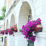 Вазон настінний, балконний 450 мм "Зелений" вуличні горщики (Термочаша подвійні стінки) для квітів, фото 4