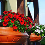 Вазон настінний, балконний 450 мм "Піщаний" вуличні горщики (Термочаша подвійні стінки) для квітів, фото 3