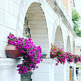 Вазон настінний, балконний 450 мм "Піщаний" вуличні горщики (Термочаша подвійні стінки) для квітів, фото 5