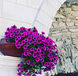 Вазон настінний, балконний 450 мм "Піщаний" вуличні горщики (Термочаша подвійні стінки) для квітів, фото 6