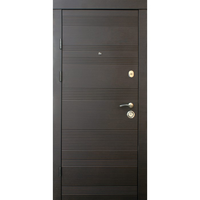 Вхідні двері Статус Qdoors, фото 1