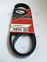 Gates 6PK1018 Поліклиновий ремінь ВАЗ 1117-19 1.4(16V)