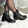 Черевики жіночі на маленькому підборах. Натуральна шкіра та шкіра "пітон", фото 2