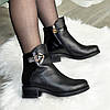 Черевики жіночі на маленькому підборах. Натуральна шкіра та шкіра "пітон", фото 6
