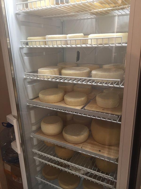 Холодильный агрегат для холодильной камеры для сыра. Холодильная камера для созревания сыра. Сыр в холодильнике. Холодильник для созревания сыра. Холодильный агрегат для холодильной камеры для сыра.