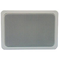 Гучномовець для монтажу в ніші стін 6АС100ПНм