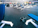 Гумове рулонне покриття Fitness для тренажерного залу, фото 7