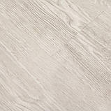 Portland, фото 3