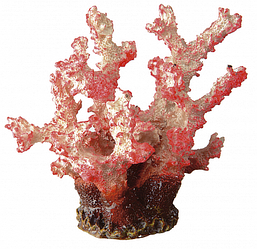 Корм для коралів