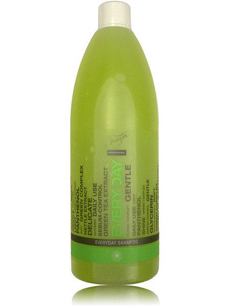 Шампунь для щоденного застосування Spa Master Everyday shampoo SM 151 пантенолом 970 мл