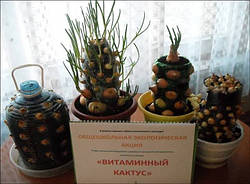 Вітамінний кактус