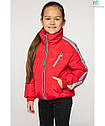 Демісезонна куртка для дівчинки Бетті зі світловідбивними лампасами р 134-164, фото 2