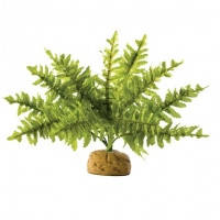 Hagen Exo Terra Rainforest Plant Boston Fern Small штучна рослина папороті мала