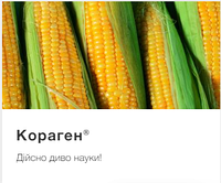Цікаві факти про інсектицид Кораген, від компаніїї FMC