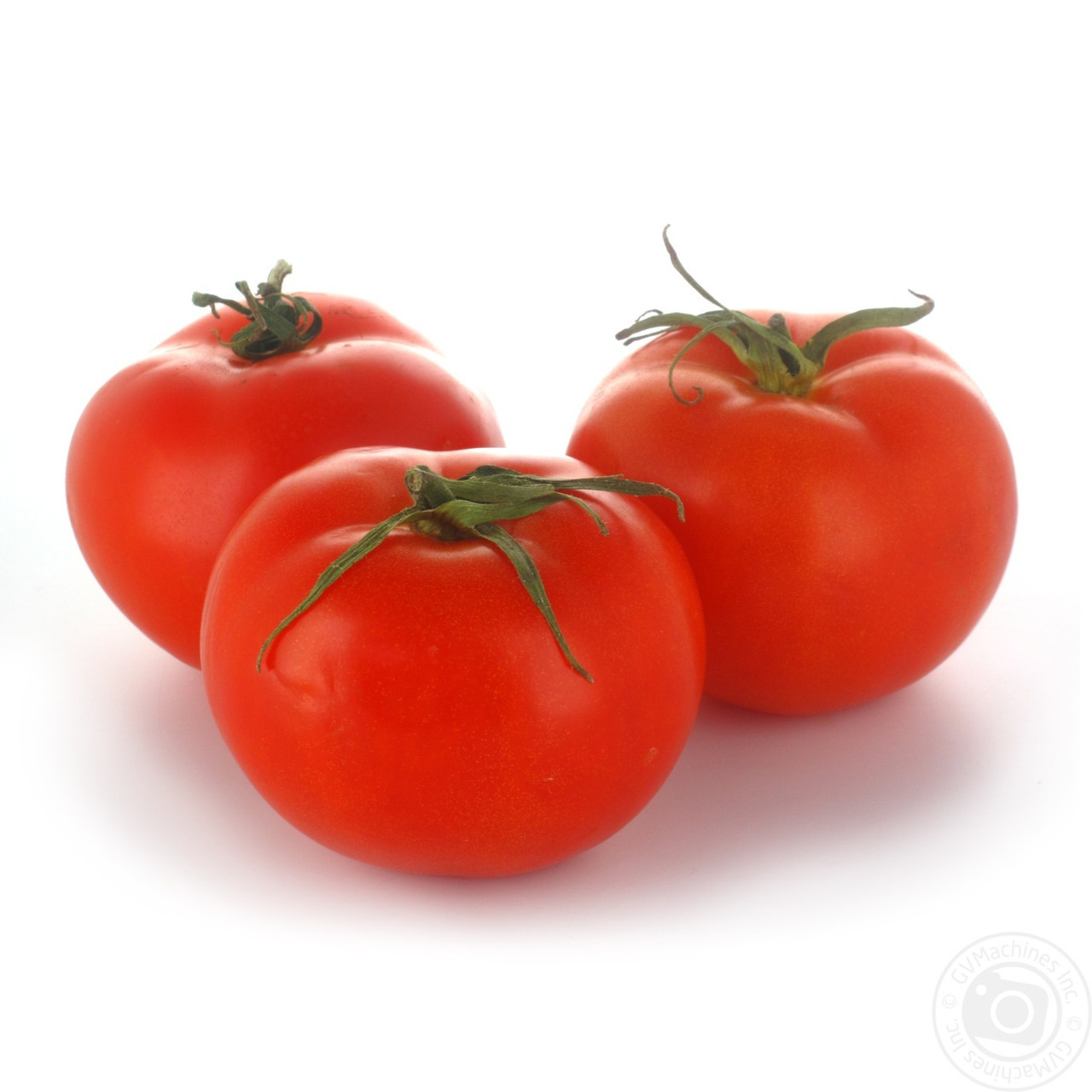 Насіння томату детермінантного 1503 F1 ранній, (5000 нас.) Lark Seeds