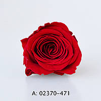 Стабілізовані червоні троянди "Vivian", 24 бут., А:471