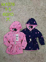 Вітровка для дівчаток оптом, S&D, 1-5 років, № KK-1078, фото 2