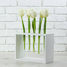 Декоративна підставка під квіти (5 пробірок), фото 5