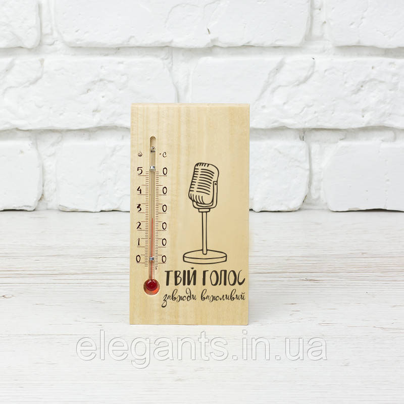 Термометр декоративний (мікрофон) 150х80х60