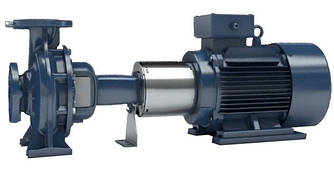 Консольний насос EBARA GS2 32-250-262/B1/E 18.5