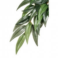 Hagen Exo Terra Silk Plant Ruscus Large штучна шовкова рослина рускус великий