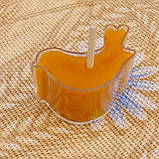 Воскова чайна свічка Пташка в пластиковому прозорому контейнері; натуральний бджолиний віск, фото 5