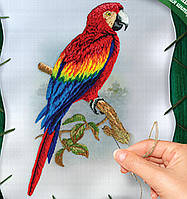 Вишивка гладдю на полотні Папуга, VGL-01-01