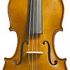 Скрипка STENTOR 1400/A STUDENT I VIOLIN OUTFIT 4/4, фото 2