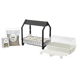 IKEA KRYDDA / VÄXER ( 892.013.02)