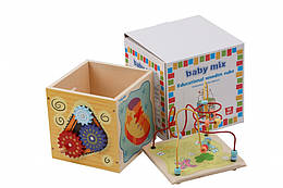 Дитяча іграшка Baby Mix Дерев'яний сортер Лабіринт HJ-D931063