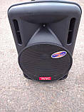 Портативна акустика Ailiang F12/120W мікрофон (USB/FM/Bluetooth), фото 3