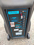 Портативна акустика Ailiang F12/120W мікрофон (USB/FM/Bluetooth), фото 5