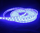 Світлодіодна стрічка 12 В IP20 5 м/патак., синя 5050, фото 3