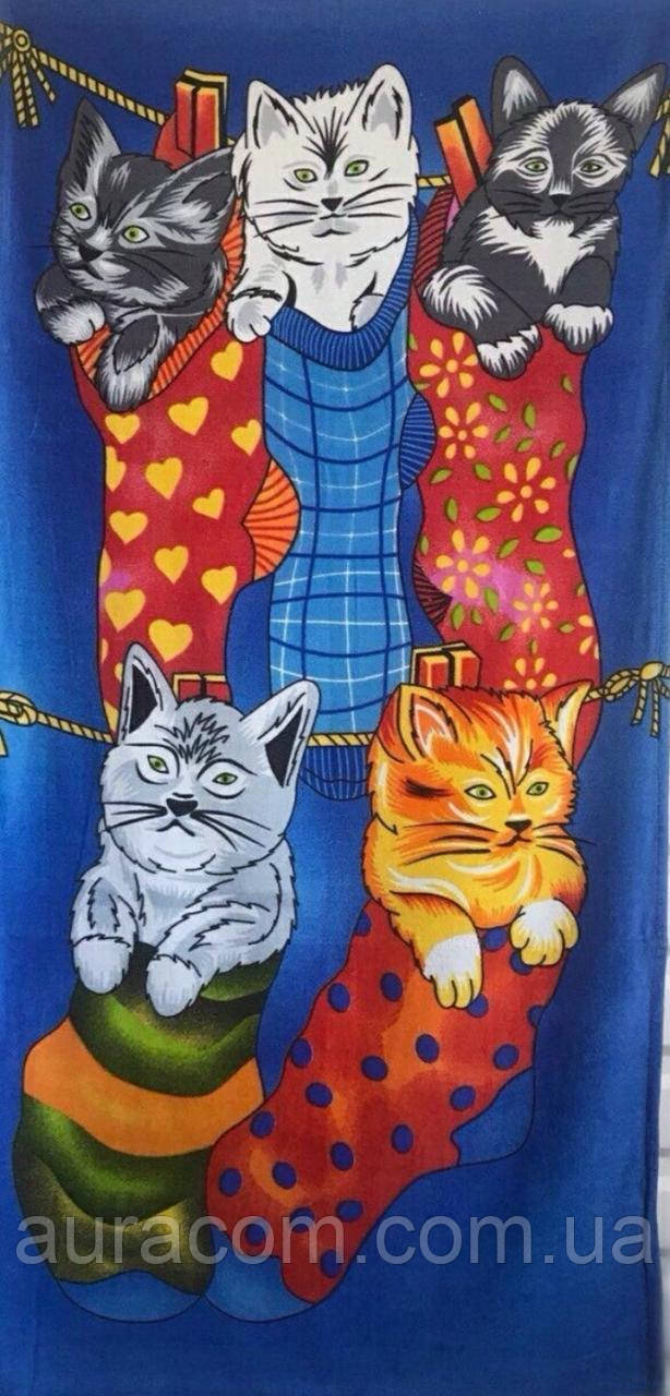 Рушник пляжний, Котики, Туреччина